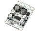 TPA3110 Digital Audio amplifier board Mini amplifiers PBTL single channel Mono 30W Digital Amplifier